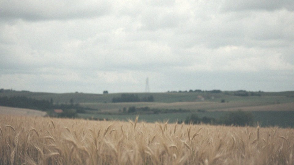 Jak przełączanie pasma sieci może poprawić zasięg?