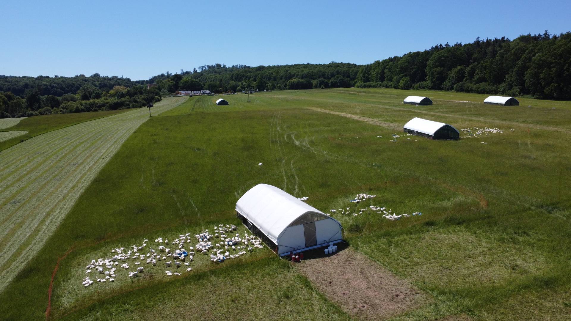 certyfikowane ekologiczne łąki - manufakturadobra.pl.JPG