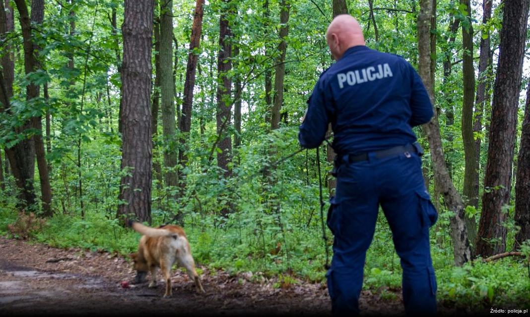 Policyjna akcja „Twoje Światła – Nasze Bezpieczeństwo” w Sosnowcu