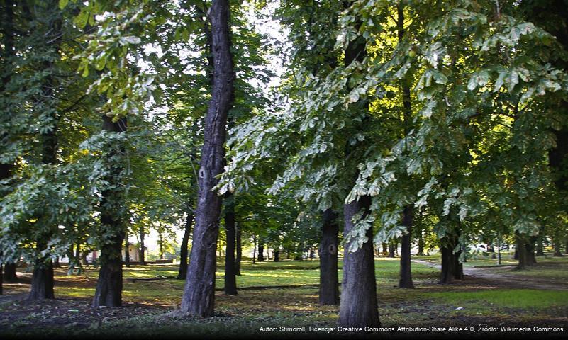 Park im. księcia Józefa Poniatowskiego w Sosnowcu