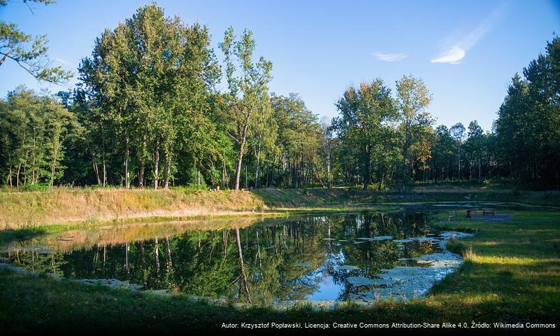 Park Tysiąclecia (Sosnowiec)