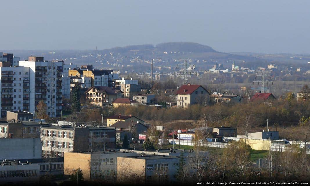 Sosnowiec stawia czoło upałom! Praktyczne wskazówki dla mieszkańców